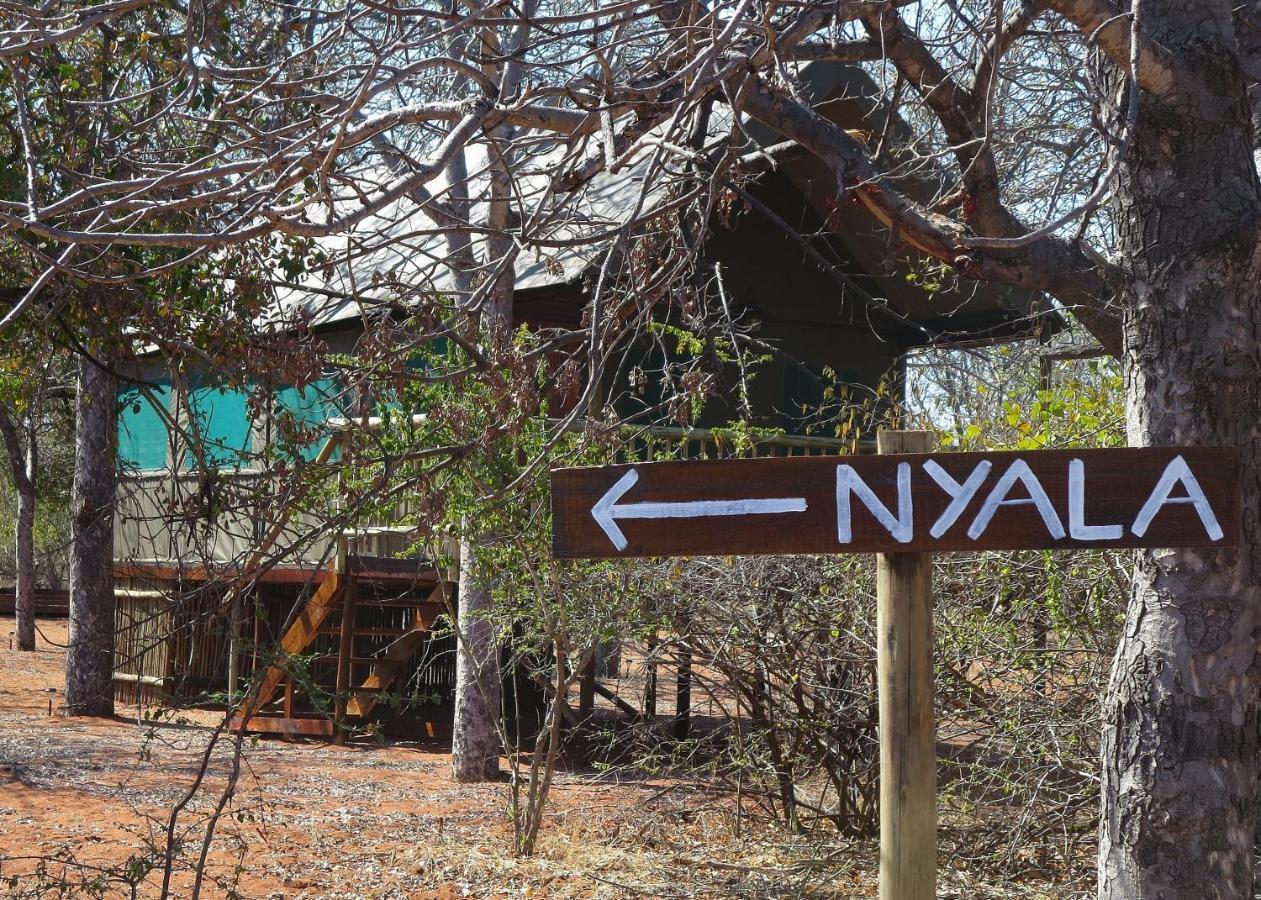Iphofolo Lodge & Tented Camp Vivo Exterior photo