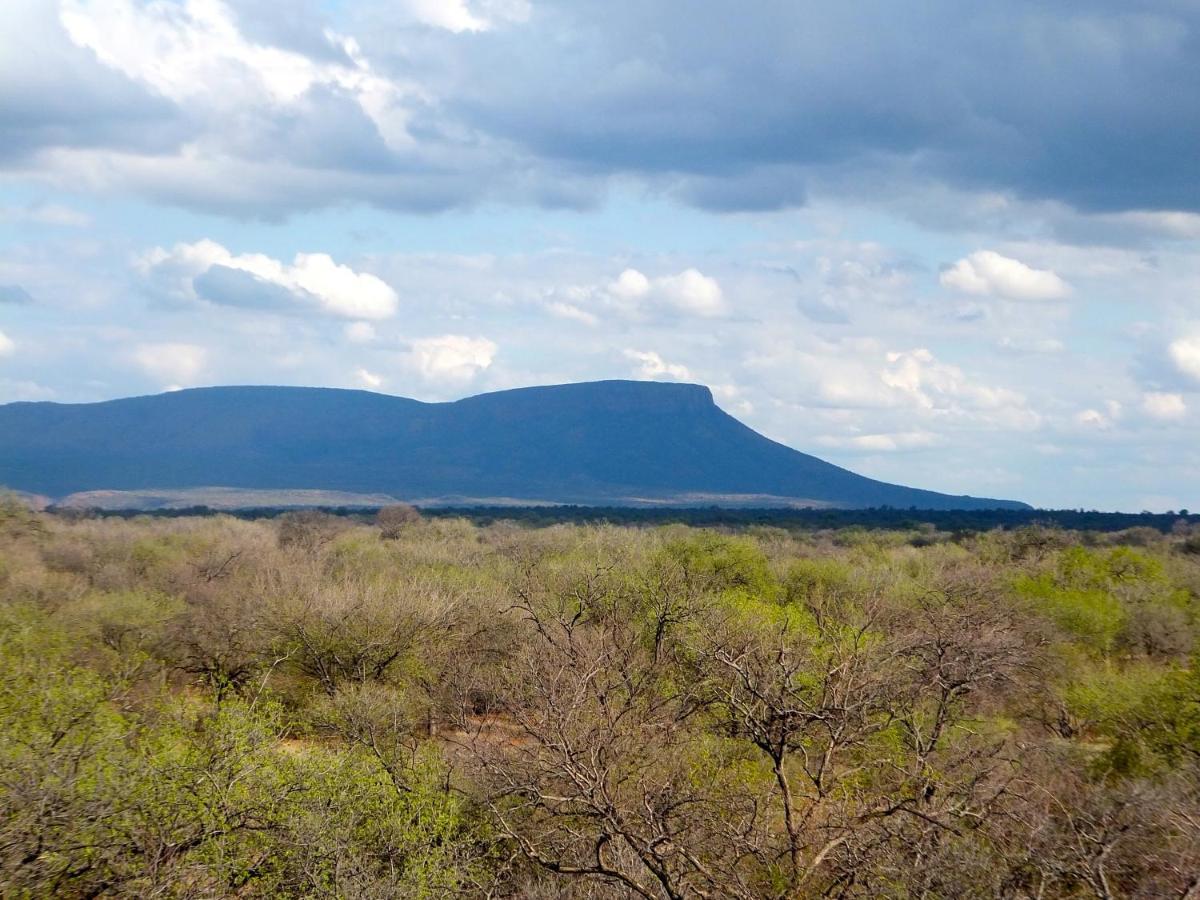 Iphofolo Lodge & Tented Camp Vivo Exterior photo