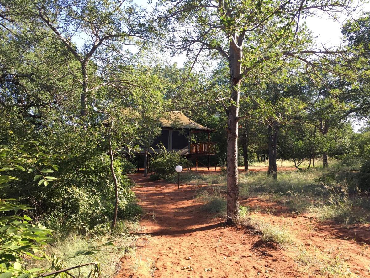 Iphofolo Lodge & Tented Camp Vivo Exterior photo